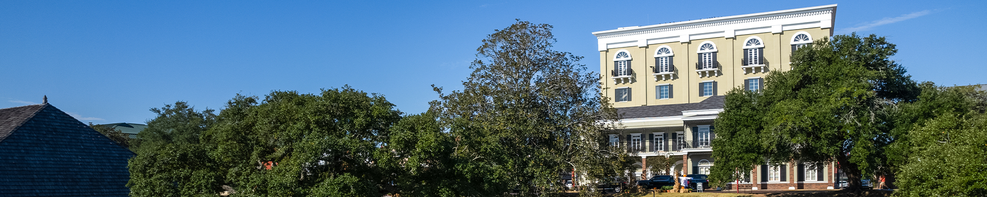 History Banner